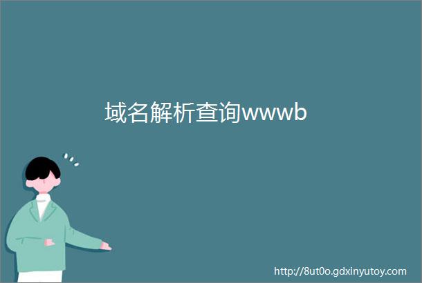 域名解析查询wwwb